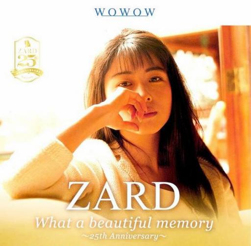 坂井泉水 ZARD – What a beautiful moment 2004 演唱会 [DVD ISO 7.45G+1.35G]