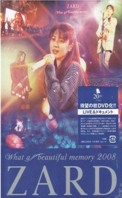 坂井泉水さかい いずみ-2008演唱会（DVD-ISO4.36G）