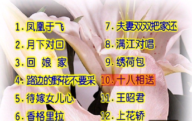 卓依婷 – 柔情小调[KTV][DVD-ISO3G]