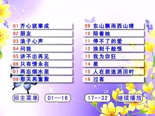 群星 – 宝丽金 环球经典金曲[KTV][3DVDISO22.05G]