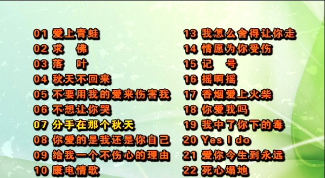 群星 – 2007-2008当红金曲[KTV][DVDISO][4.27G]