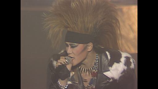 X JAPAN BLUE BLOOD TOUR《BDISO 17.52G》