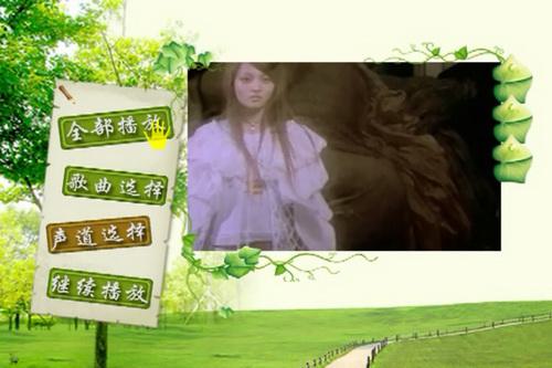 群星 一人一首成名曲-港台篇Ⅰ《DVDISO 7.72G》