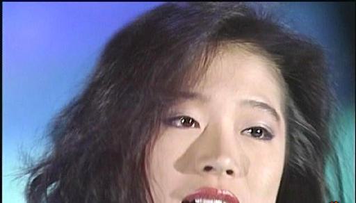 中森明菜 – Akina Premium（86-87）[MV][DVD-ISO6.58G]