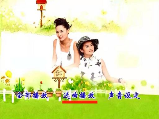 群星 一人一首港台女声精选 碟2 D9 KTV《DVD ISO 7.07G》