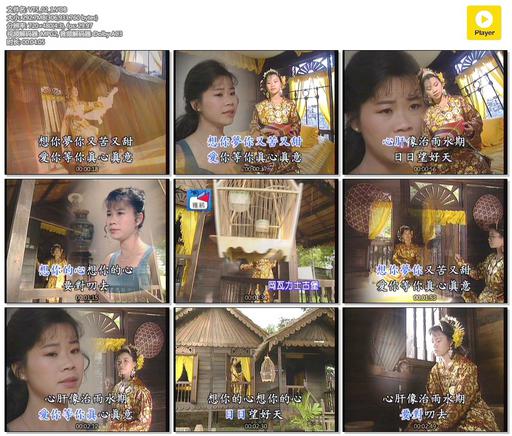 詹雅雯 – 酒中情 马来西亚之旅[KTV][DVD-ISO][3.37G]
