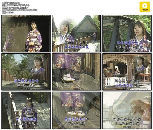 詹雅雯 – 日本大阪京都之旅[KTV][2DVD-ISO][6.74G]