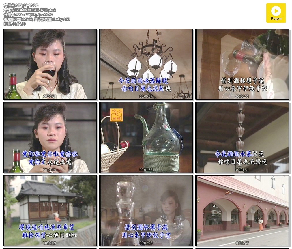 詹雅雯 – 用心肝饮的酒 日本之旅[KTV][DVD-ISO][3.29G]