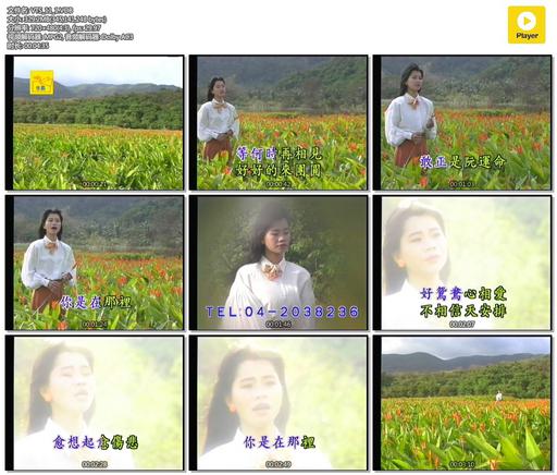 詹雅雯 – 泰国之旅专辑[KTV][DVDISO][3.14G]