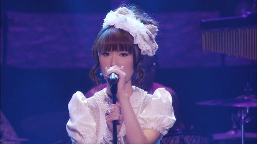 GARNET CROW livescope 2013 〜Terminus〜《2BD ISO 41.3G》