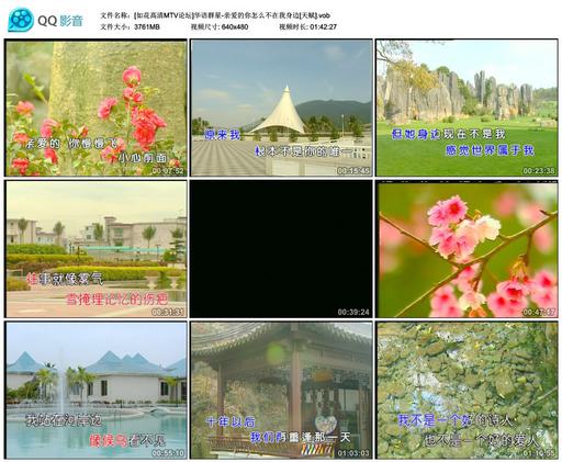 华语群星 – 亲爱的你怎么不在我身边(天赋)[DVD/ISO][3.77G]