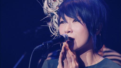 Ringo Expo 14 2014 1080p BluRay AVC PCM（生）林檎博’14 ―年女の逆襲― 初回限定盤《Remux MKV 31.6G》