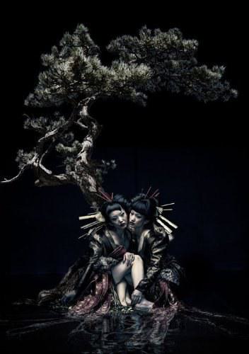 FINAL MELT LIVE AT 03.10 SAITAMA SUPER ARENA《2DVD-ISO 8.07G》