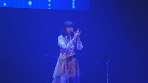 yanaginagi – Live Tour 2015 – polynomial《Remux MKV 17.2G》