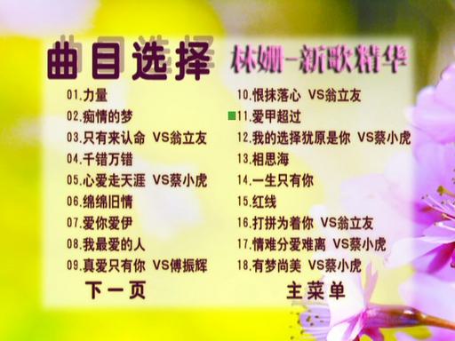 林姗新歌精华DTS5.1声道（DVD-ISO3.41G）