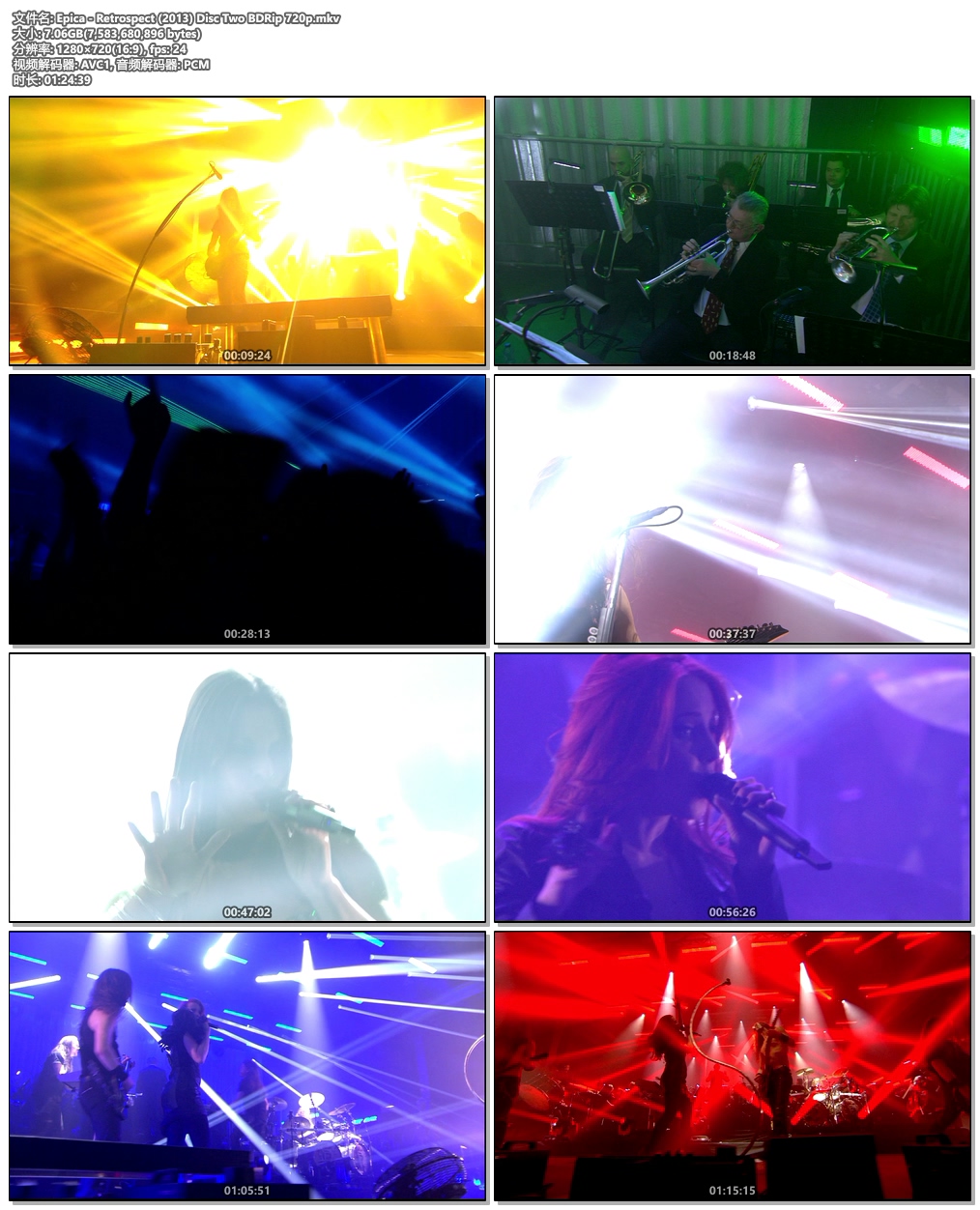 Epica Retrospect 10th Anniversary 2013《BDrip MKV 14.9G》