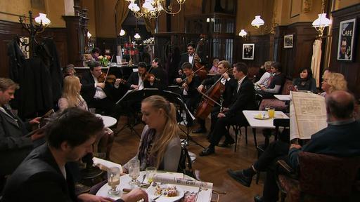 The Philharmonics Waltzes by Johann Strauss 2011《BDrip MKV 6.21G》