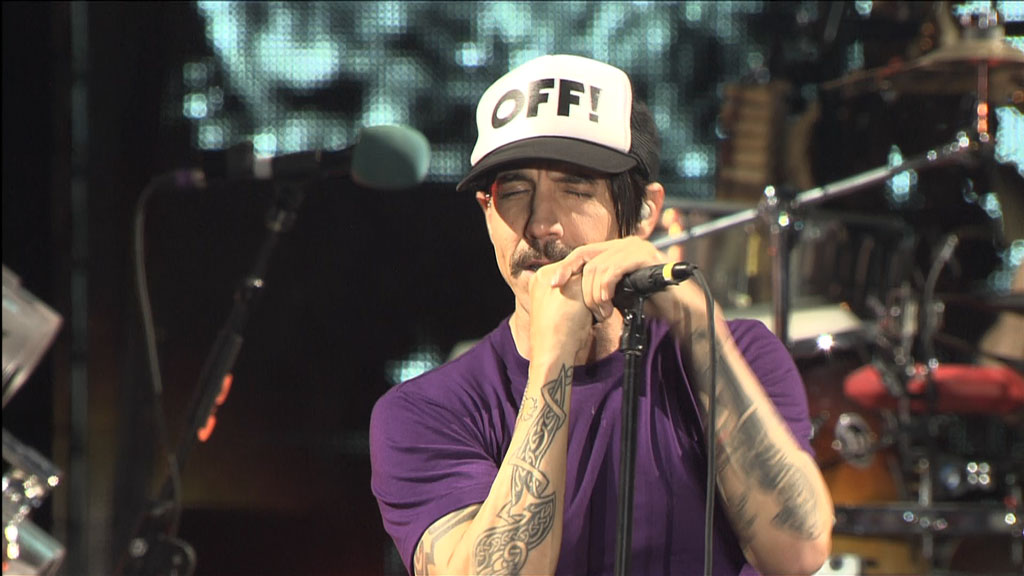Red Hot Chili Peppers – Live At Bonaroo Festival 2012《HDTV TS 12.6G》
