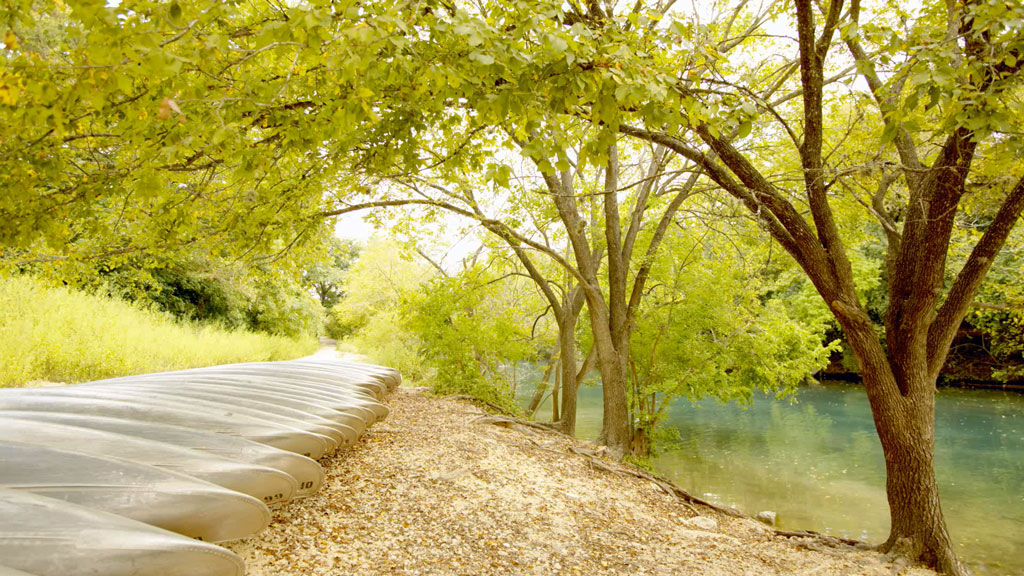 Vivaldi VremenaGoda 2008 Blu-Ray Audio《BDMV 8G》