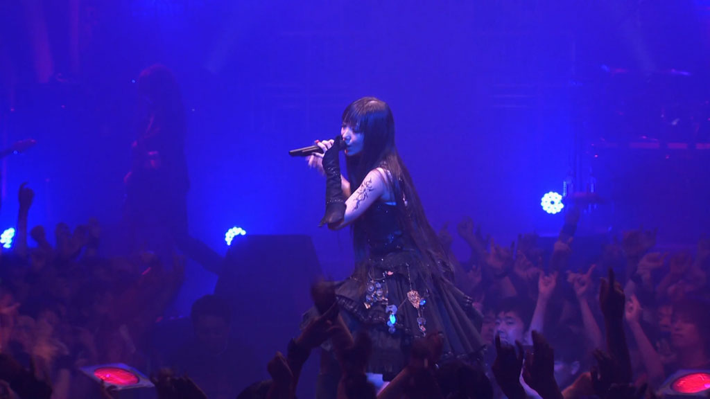 Yousei Teikoku Pax Vesania Live Tour 2013《BDrip MKV 13.6GB》