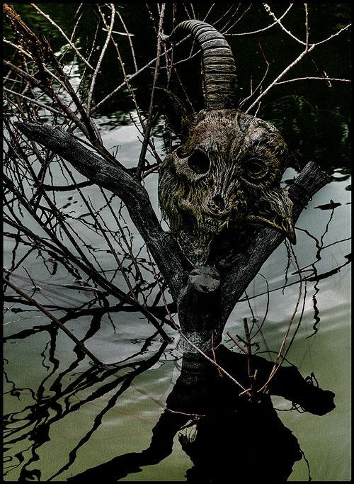 the GazettE – the GazettE LIVE TOUR 13-14 [MAGNIFICENT MALFORMED BOX] FINAL CODA LIVE AT 01.11 YOKOHAMA ARENA 2014《BDISO 34.8GB》