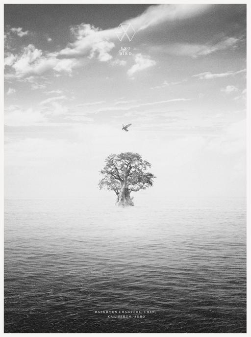 EXO – BIRD 2019 [BDMV 40.7GB]