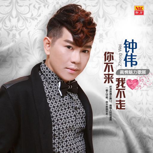 钟伟 – 真情魅力歌展 VOL.6 你不来我不走 卡拉OK 2016 [DVD ISO 3.71GB]