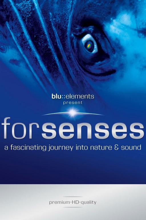 Forsenses – A Fascinating Journey into Nature & Sound 2009 [BDMV 14.3GB]