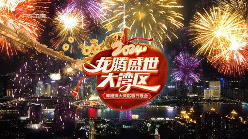 龙腾盛世大湾区 2024 1080i MPEG2 [HDTV TS 20.4GB]