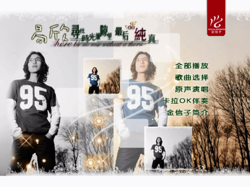 易欣 – 别让我为你心碎 卡拉OK [KTV] [DVD ISO 4.04G]