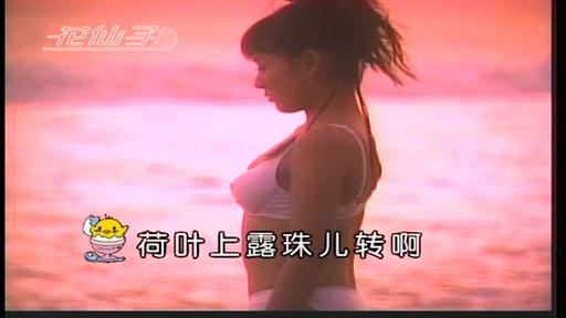 花仙子 – 山地甜歌 第二辑 卡拉OK [DVDrip MP4 3.74GB]