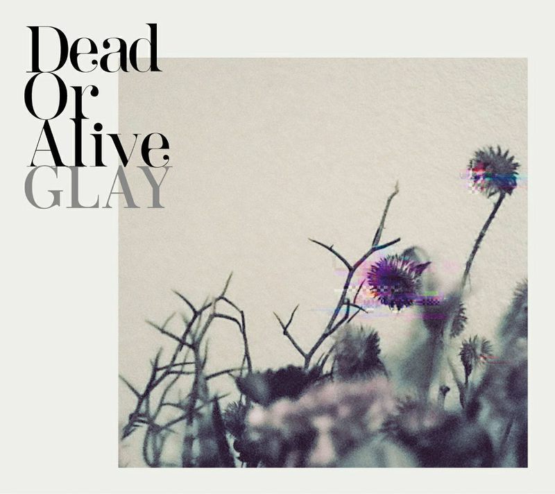 GLAY – Dead Or Alive 付属BD [2025.12.03] [BDISO 20.6GB]