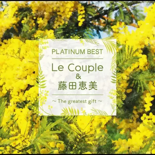 PLATINUM BEST Le Couple&藤田恵美 ～The greatest gift～