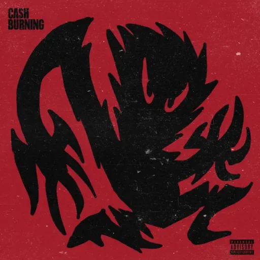 CASH BURNING