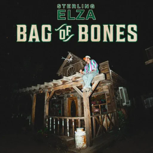 Bag of Bones