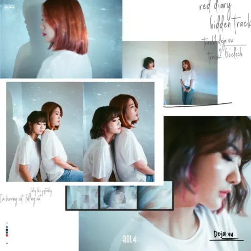 Red Diary ‘Hidden Track’