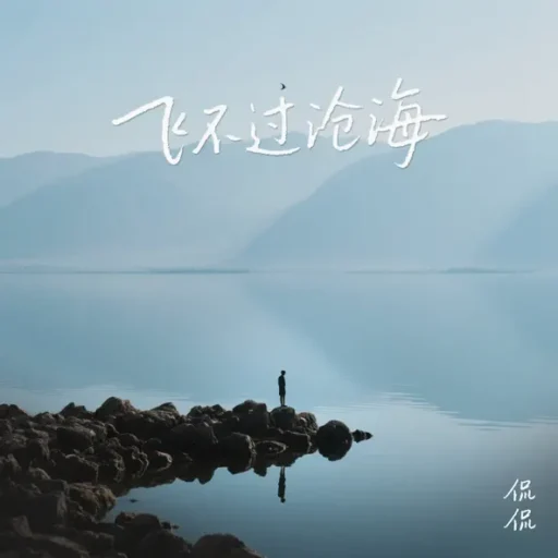 飞不过沧海