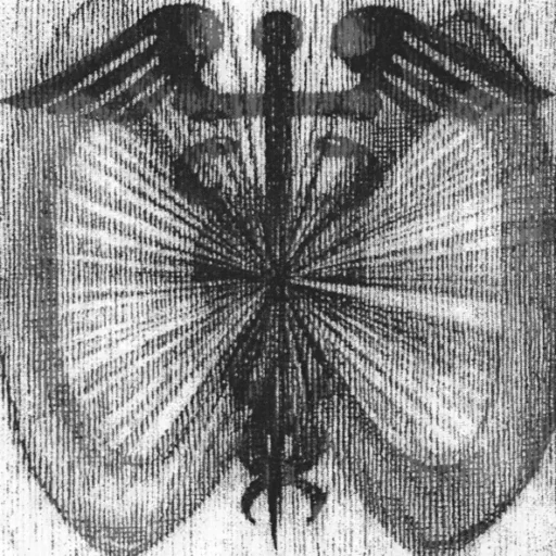 Two Wheels Move the Soul