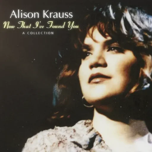 Now That I’ve Found You – A Collection