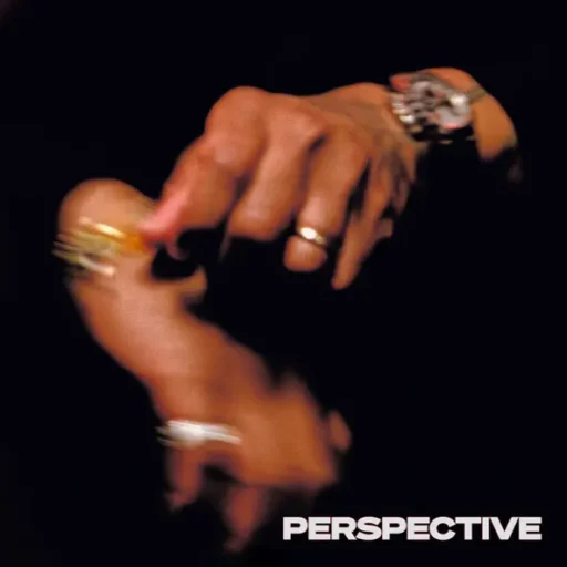 PERSPECTIVE