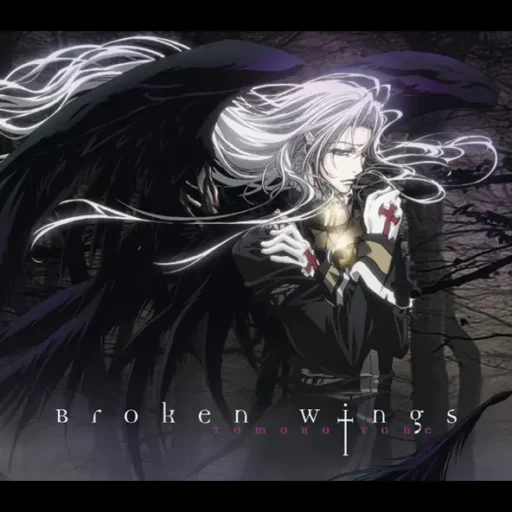 Broken Wings