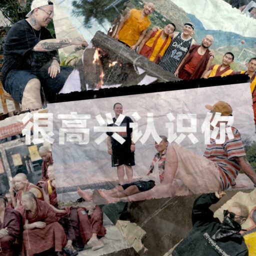 很高兴认识你-Single