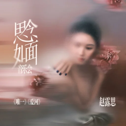 思念如面 音乐会