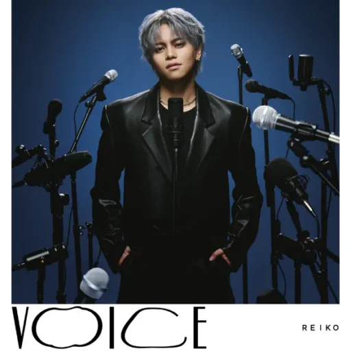 VOICE