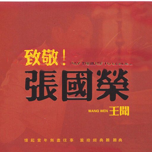 致敬张国荣