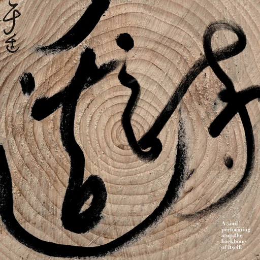 适诗